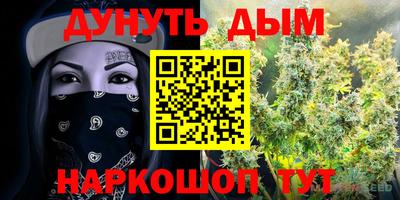 индика Краснознаменск