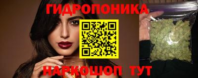 индика Краснознаменск